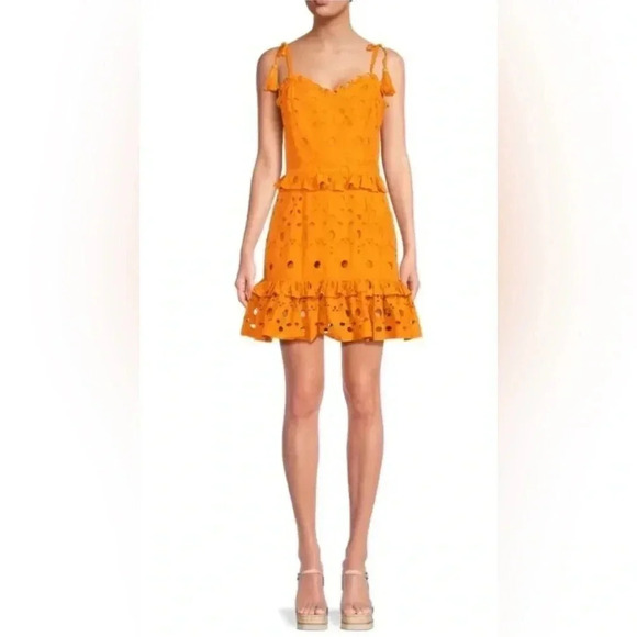 Walter Baker Misty Eyelet Ruffle Mini Dress in Mustard Yellow Size 10 B1143 - Picture 2 of 5